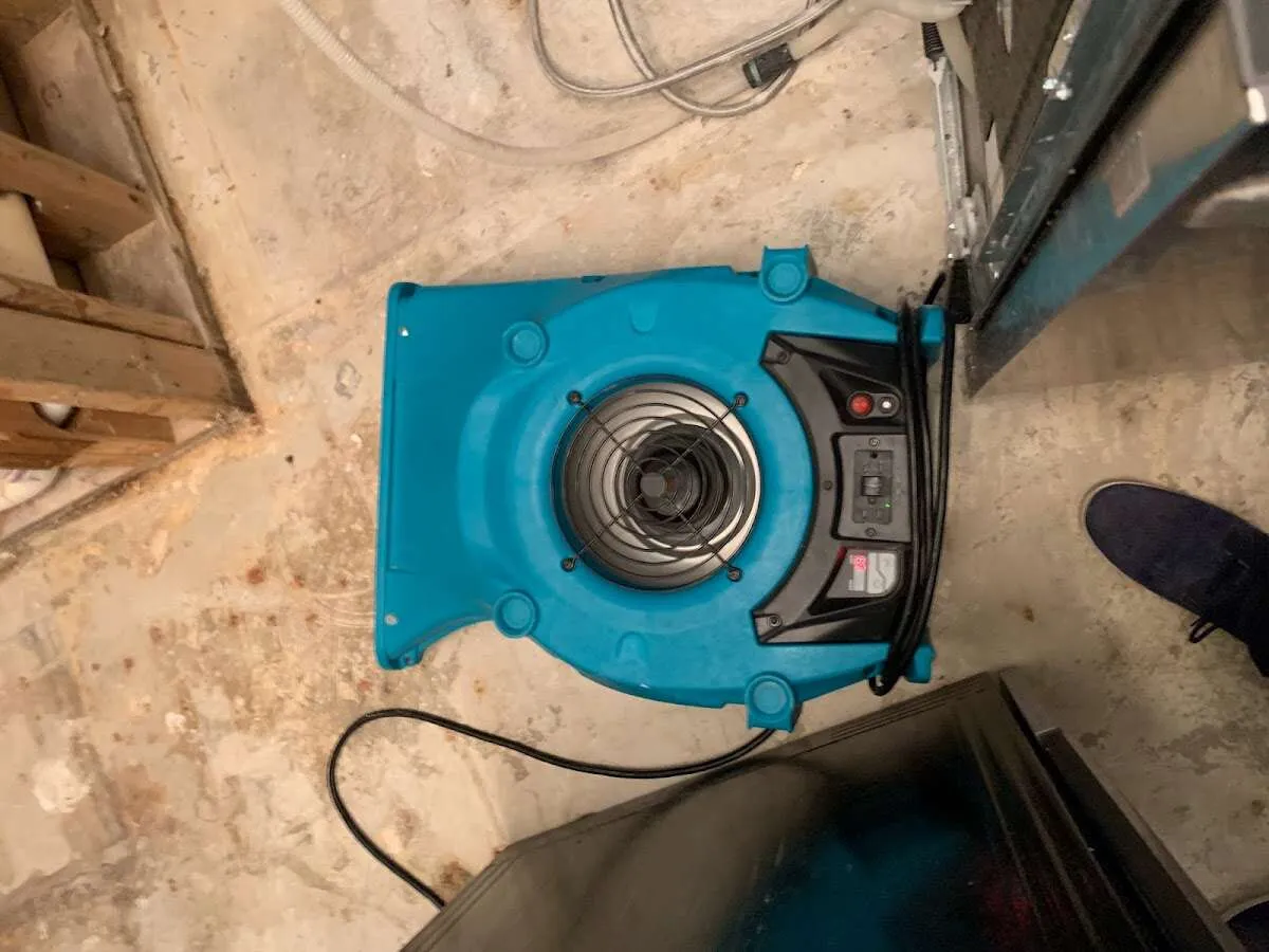 Air mover drying equipment for Mold Remediation & Removal in Holtville
